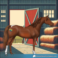 Horse Color:Chestnut Tobiano 