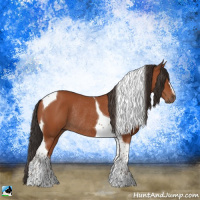 Horse Color:Bay Tobiano Rabicano