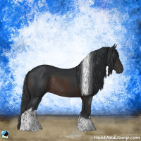 Horse Color:Brown Tobiano Rabicano