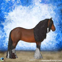 Horse Color:Bay Tobiano Rabicano