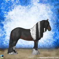 Horse Color:Brown Tobiano Rabicano
