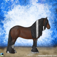 Horse Color:Brown Tobiano Rabicano 