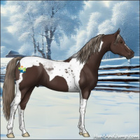 Horse Color:Liver Chestnut Tobiano 