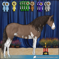 Horse Color:Liver Red Dun Sabino