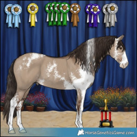 Horse Color:Liver Red Dun Sabino 