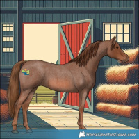 Horse Color:Red Roan