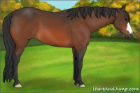 Horse Color:Brown 