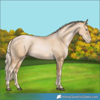 Horse Color:Palomino Pearl 