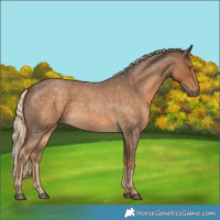 Horse Color:Chocolate Palomino Roan 
