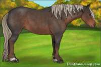 Horse Color:Liver Red Roan Sabino 