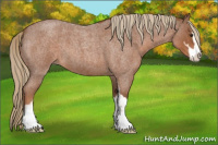 Horse Color:Red Roan Sabino 