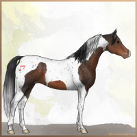 Horse Color:Brown Tobiano Varnish 