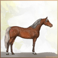 Horse Color:Silver Bay Snowflake Varnish