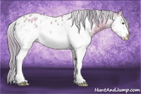 Horse Color:Watercolor White Spotted Brown Dun Sabino Splash Appaloosa 