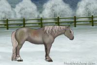 Horse Color:Silver Black Sabino 