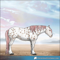 Horse Color:Painted Silver Brown Dun Sabino Splash Appaloosa 