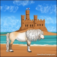 Horse Color:Gray Silver Buckskin Dun Sabino Splash Tobiano Rabicano 