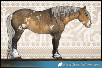 Horse Color:White Spotted Silver Buckskin Dun Sabino 