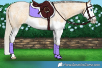 Horse Color:Silver Buckskin Roan Splash 