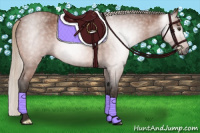 Horse Color:Gray Silver Buckskin Roan 