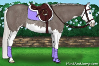 Horse Color:Silver Blue Roan Sabino Splash Rabicano