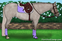 Horse Color:Silver Grullo Roan Rabicano 