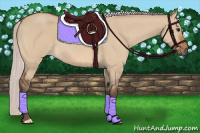 Horse Color:Silver Bay Dun