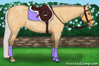 Horse Color:Silver Buckskin Roan