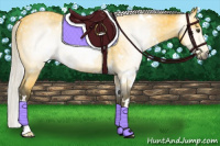 Horse Color:Gray White Spotted Silver Buckskin 