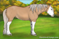 Horse Color:Silver Bay Dun Splash 