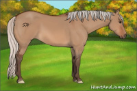 Horse Color:Silver Bay Dun 