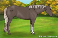 Horse Color:Silver Black 