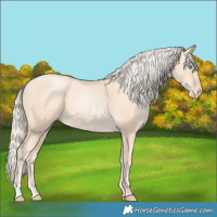 Horse Color:Gold Cream Champagne Pearl 