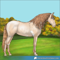 Horse Color:White Spotted Amber Champagne Pearl 