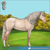 Horse Color:Gold Champagne Dun 