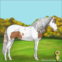 Horse Color:Chestnut Splash Tobiano 