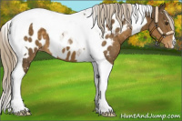 Horse Color:Chocolate Palomino Tobiano Blanket 