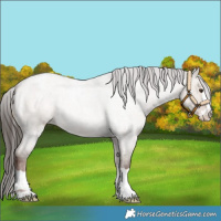 Horse Color:Liver Red Dun Roan Snowcap 