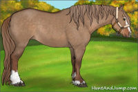 Horse Color:Liver Red Dun Sabino Rabicano