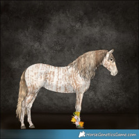 Horse Color:Black Pearl  and Buckskin Roan Pearl 