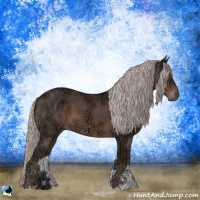 Horse Color:Silver Black Ice Sabino 