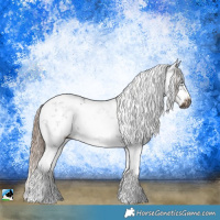 Horse Color:Gray Liver Chestnut Sabino Frame Rabicano