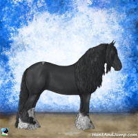 Horse Color:Black Tobiano Rabicano