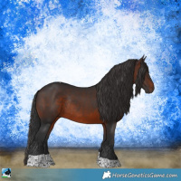 Horse Color:Brown Tobiano Rabicano