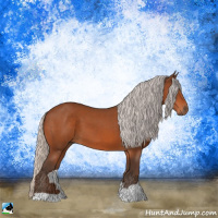 Horse Color:Silver Bay 