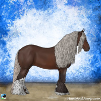 Horse Color:Silver Brown Tobiano Rabicano