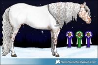 Horse Color:Silver Bay Dun Tobiano Appaloosa 