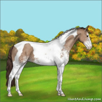 Horse Color:White Spotted Classic Champagne Tobiano 