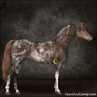 Horse Color:Liver Red Dun Ice Tobiano 
