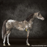Horse Color:White Spotted Liver Red Dun Ice Tobiano 